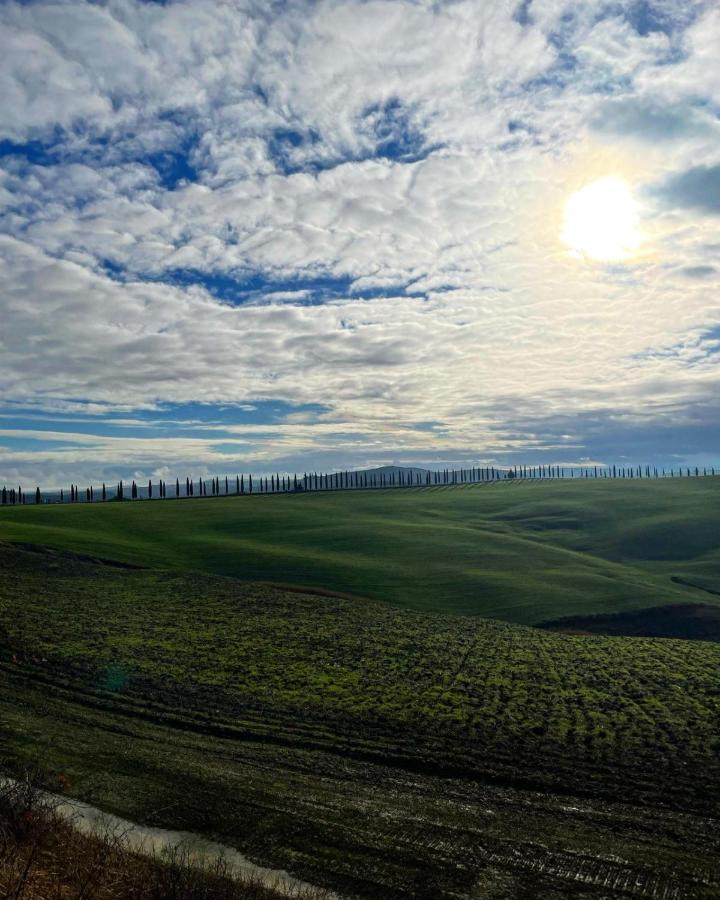 Montisi Agriturismo Bombina מראה חיצוני תמונה