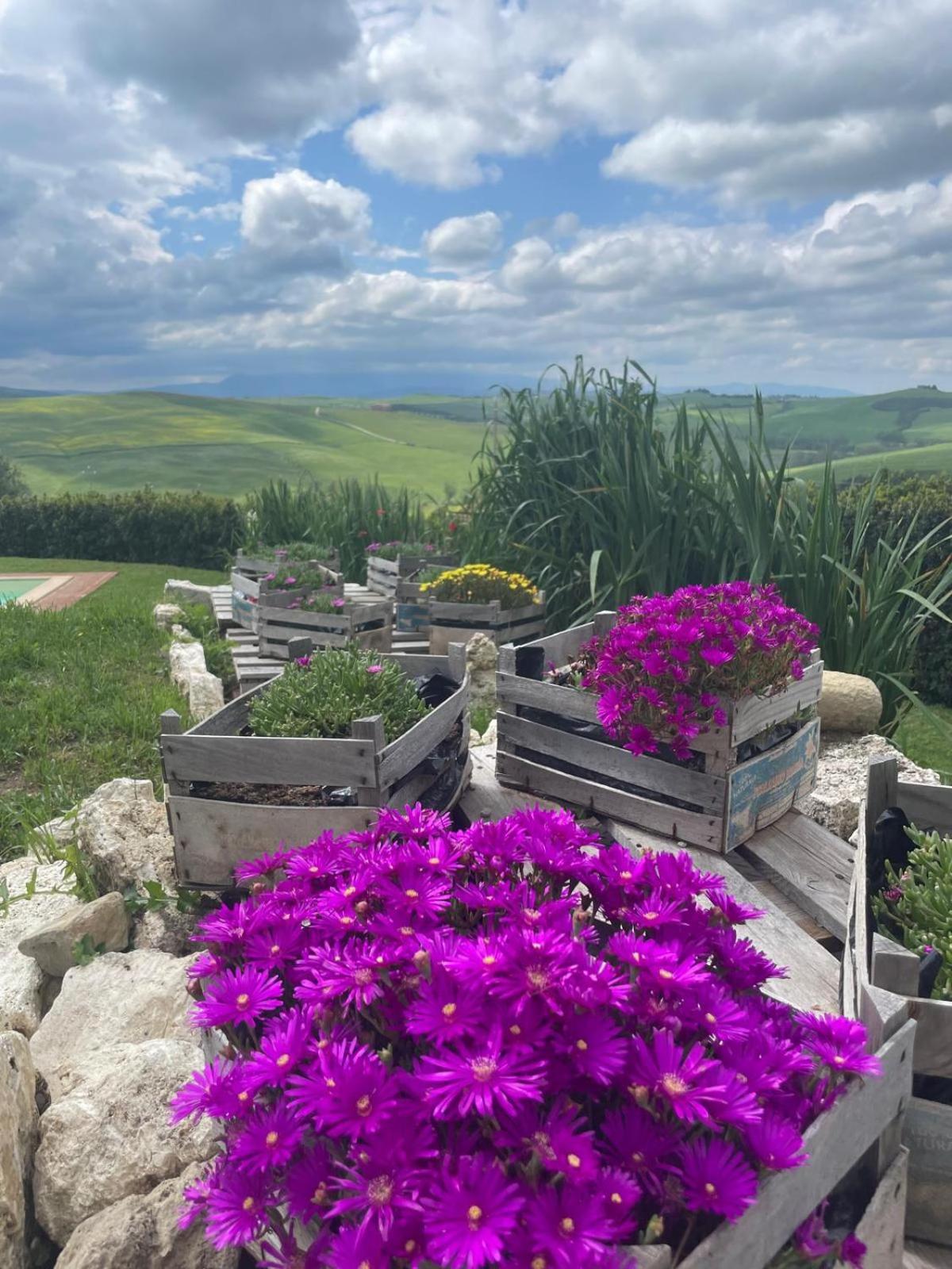 Montisi Agriturismo Bombina מראה חיצוני תמונה